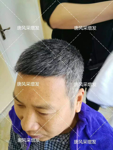 老年短假發(fā)全真發(fā)的好嗎？ 主要是用來遮白發(fā)的！