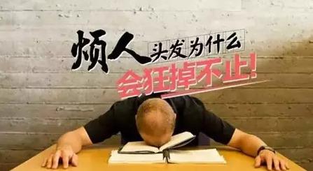 最近很少晚睡，脫起發(fā)來卻沒商量！