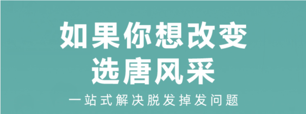 翻蓋式假發(fā) \